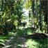 Image Gallery of Waterfront Homestay