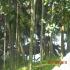 Image Gallery of Waterfront Homestay
