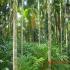 Image Gallery of Waterfront Homestay