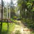 Image Gallery of Waterfront Homestay