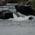 Image Gallery of Waterfront Homestay