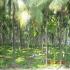 Image Gallery of Waterfront Homestay