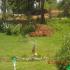 Image Gallery of Waterfront Homestay