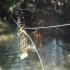 Image Gallery of Waterfront Homestay