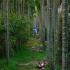 Image Gallery of Waterfront Homestay