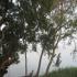Image Gallery of Waterfront Homestay