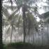 Image Gallery of Waterfront Homestay