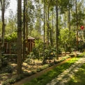 Image Gallery of Coffee Grove Resort