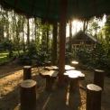 Image Gallery of Coffee Grove Resort