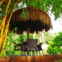 Image Gallery of Jungle Camp Resort