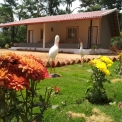 Image Gallery of Cardamom Grove Homestay