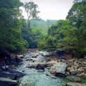 Image Gallery of Cardamom Grove Homestay