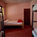Image Gallery of Cardamom Grove Homestay