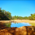 Image Gallery of Cardamom Grove Homestay
