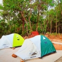 Image Gallery of Cardamom Grove Homestay