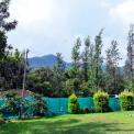 Image Gallery of Silver Light Homestay