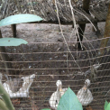 Image Gallery of Silver Light Homestay