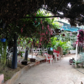 Image Gallery of Silver Light Homestay