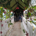 Image Gallery of Silver Light Homestay