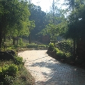 Image Gallery of Devigiri Estate Homestay