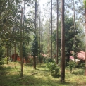 Image Gallery of Devigiri Estate Homestay