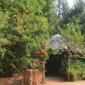 Image Gallery of Devigiri Estate Homestay
