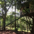 Image Gallery of Devigiri Estate Homestay