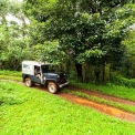 Image Gallery of Devigiri Estate Homestay