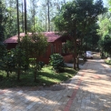 Image Gallery of Devigiri Estate Homestay