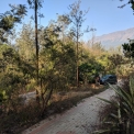 Image Gallery of Devigiri Estate Homestay