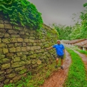 Image Gallery of Devigiri Estate Homestay