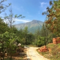 Image Gallery of Devigiri Estate Homestay
