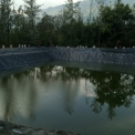 Image Gallery of Devigiri Estate Homestay