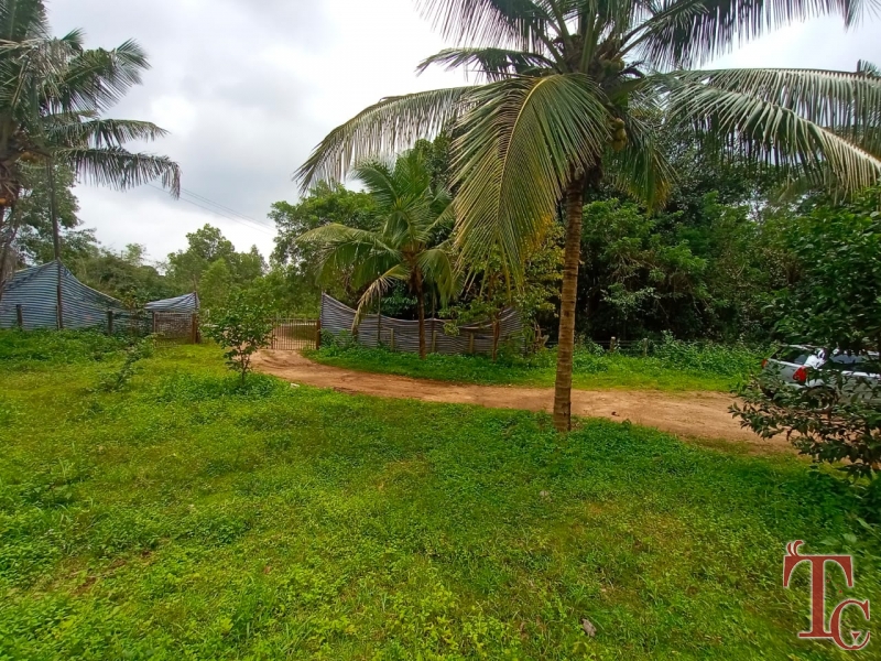 Areca Estate Stay in Thirthahalli photo 20