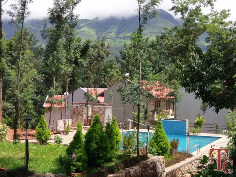 Blossom Resort photo 3
