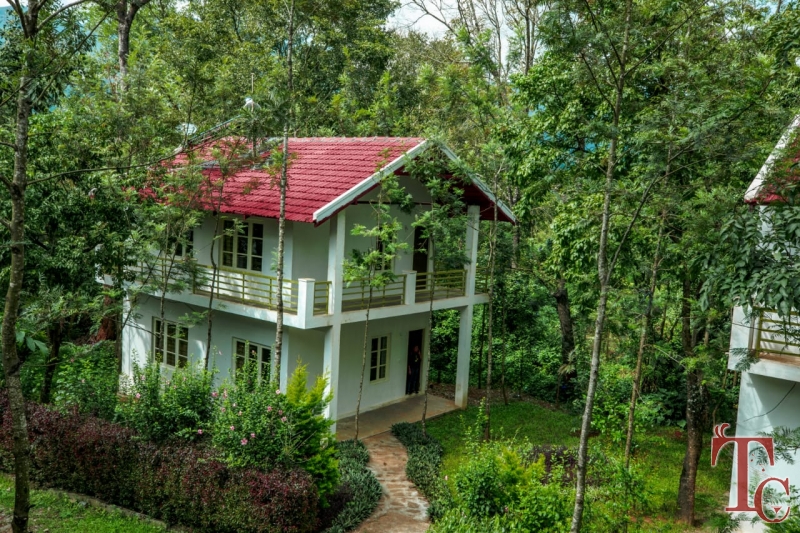 Blossom Resort photo 10