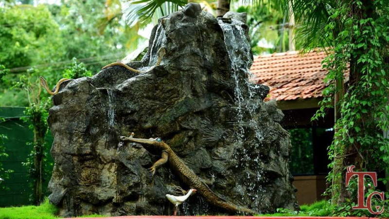 Parampara Resort photo 44