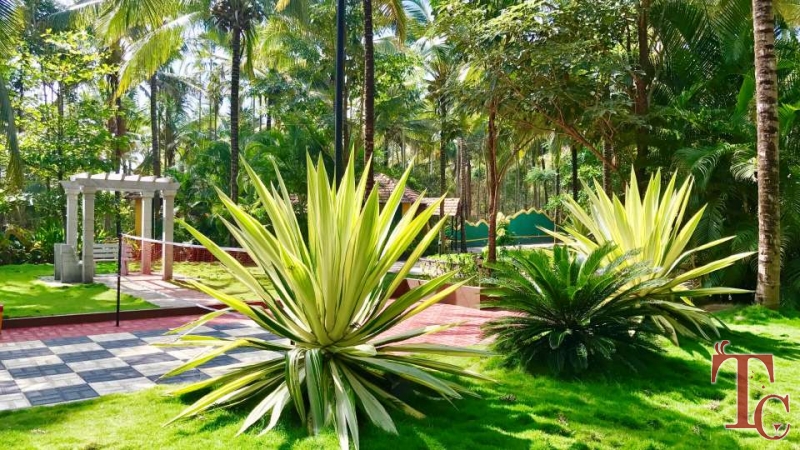 Parampara Resort photo 51