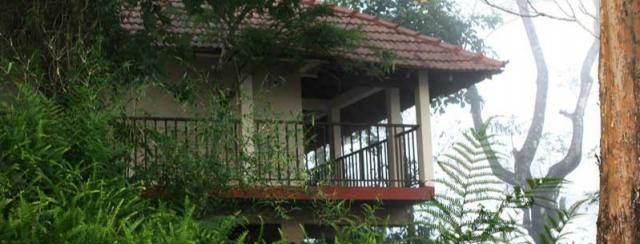 Porcupine Castle Resort photo 5
