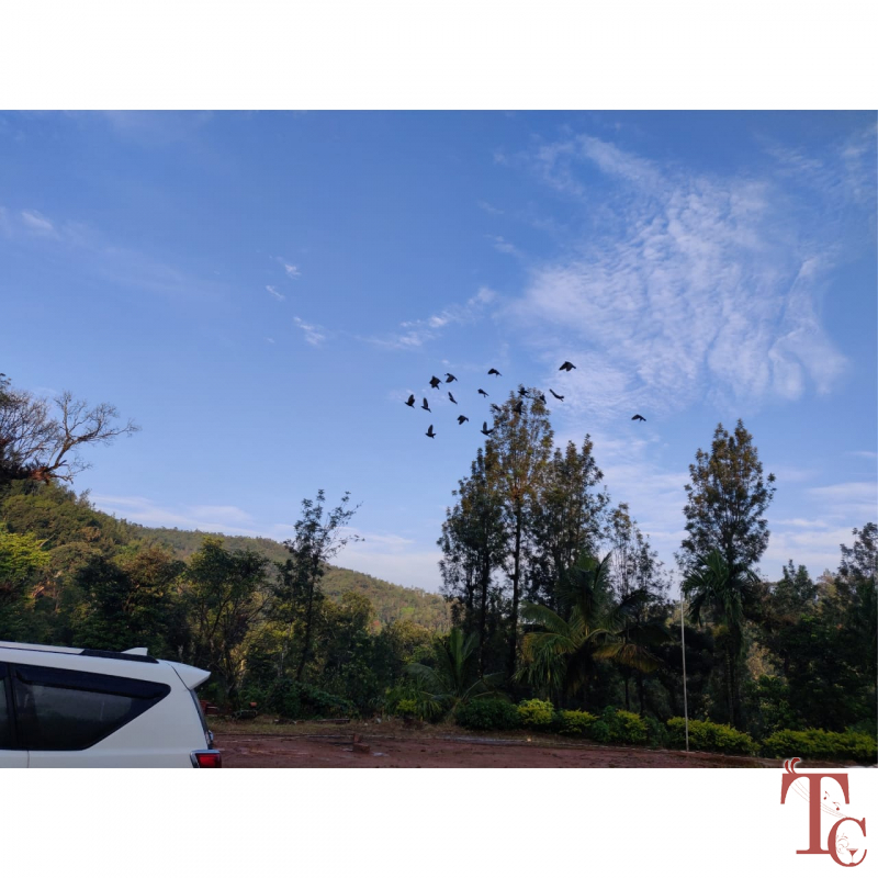 Aayan Valley photo 19