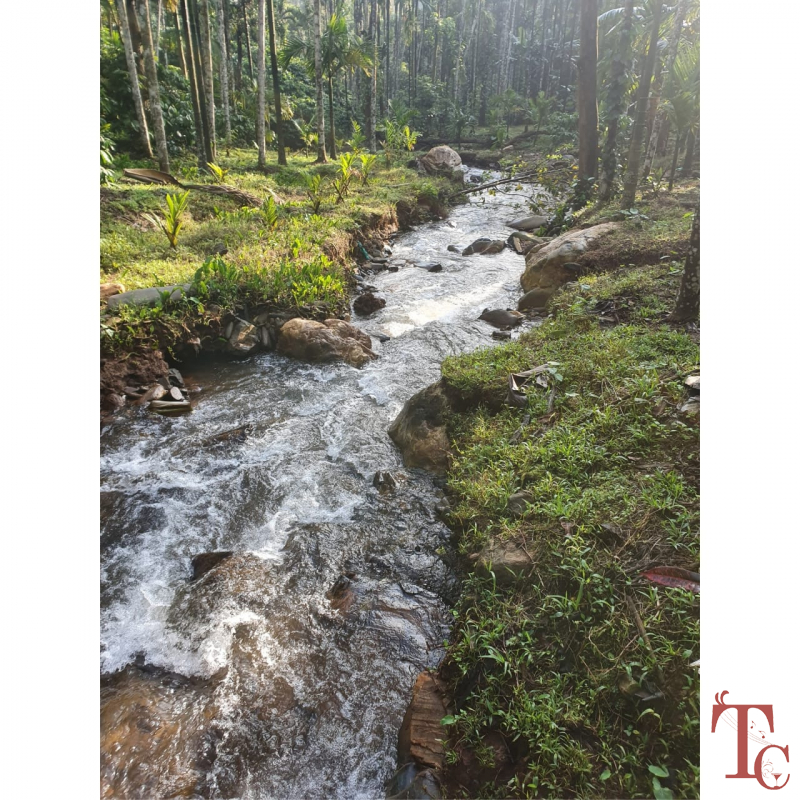 Aayan Valley photo 21