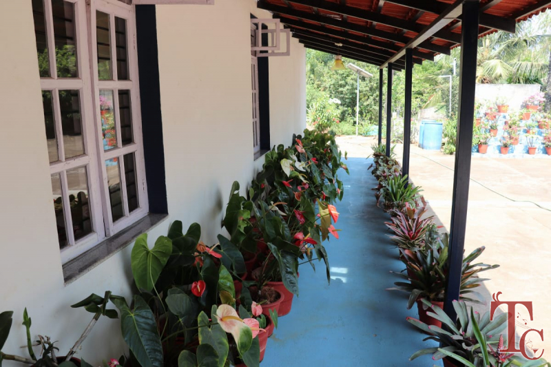 Green Inn Homestay photo 6