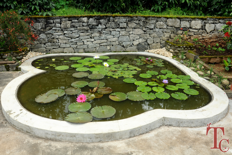 Kammargodu Homestay photo 12