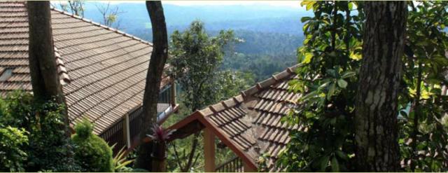 Porcupine Castle Resort photo 14