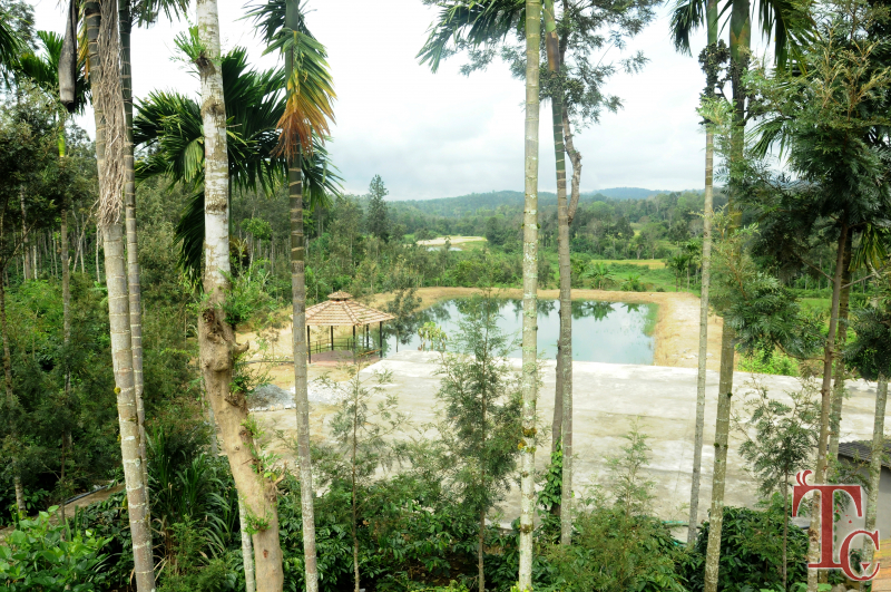 Kammargodu Homestay photo 20