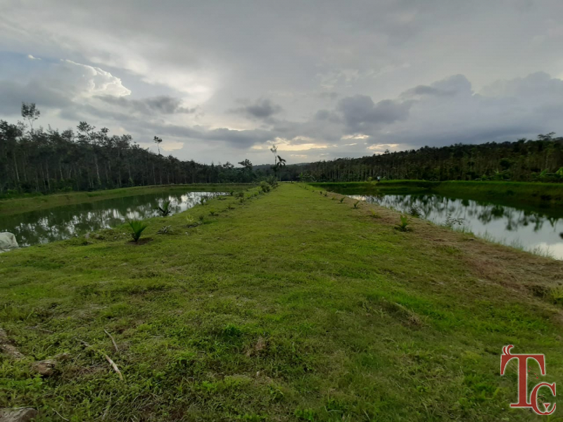 Kammargodu Homestay photo 24