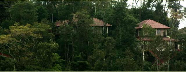 Porcupine Castle Resort photo 18