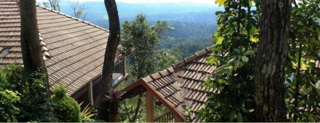 Porcupine Castle Resort photo 29