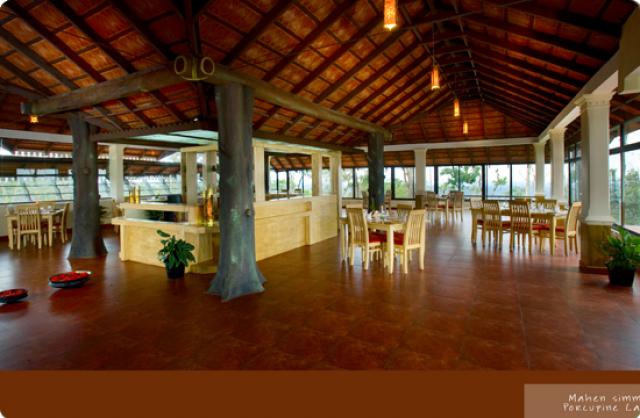 Porcupine Castle Resort photo 35