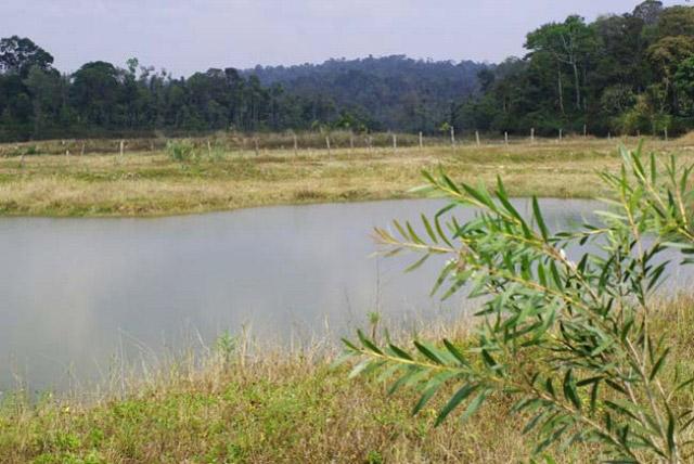 Coorg O Farm Homestay photo 11